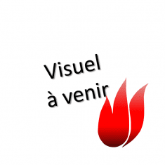 CS THERMOS Ventilateur air TLN